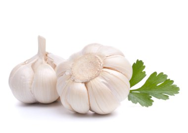 sarımsak ampul