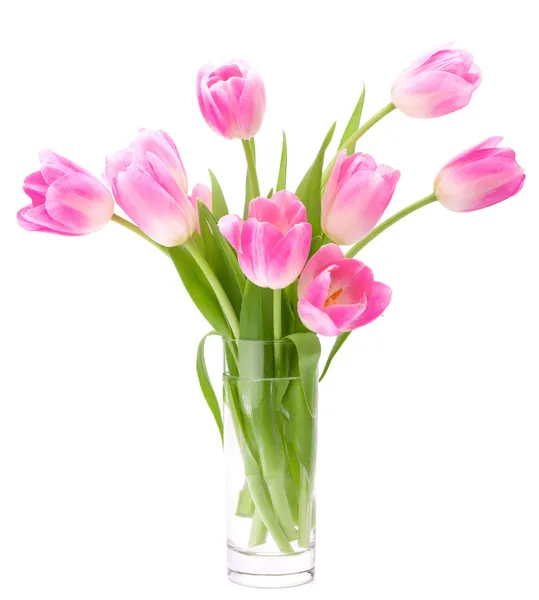 하얀 배경에 고립 된 꽃병 속의 분홍빛 튤립 꽃다발 — 스톡 사진