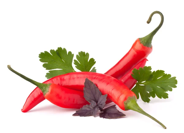 Chili rojo picante o chile y hierbas aromáticas hojas todavía l —  Fotos de Stock