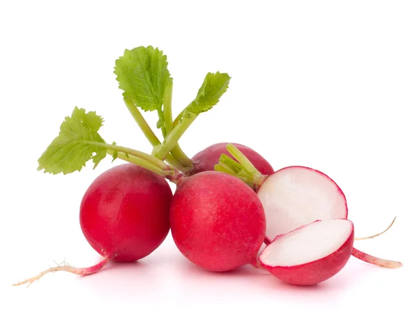 Small garden radish — Stock Photo, Image