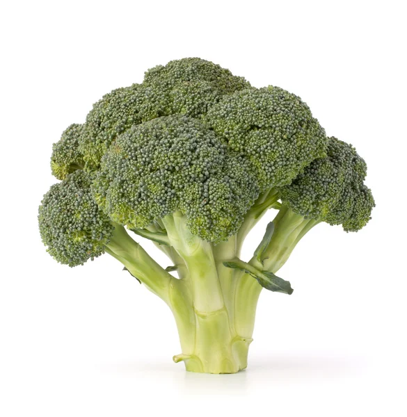 Légumes brocoli — Photo