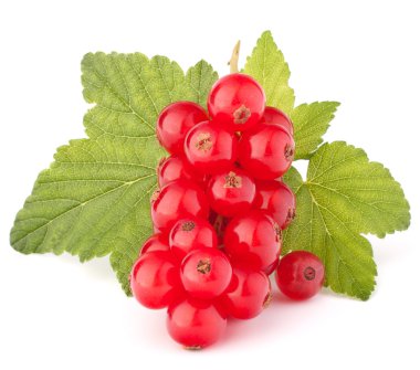 Kırmızı kuş üzümü ve yeşil yaprakları natürmort