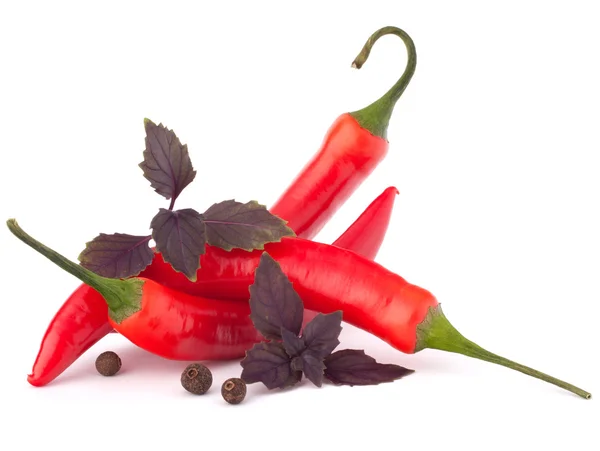 Peperoncino rosso caldo o peperoncino e foglie di basilico nature morte — Foto Stock