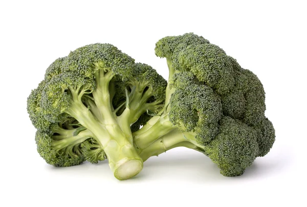 Broccoli vegetabiliska — Stockfoto