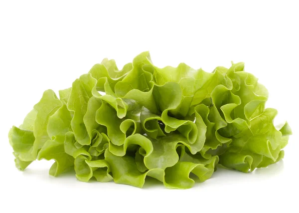 新鲜的生菜沙拉叶子群 — 图库照片