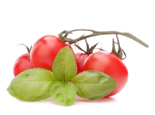 Tomate cereja — Fotografia de Stock