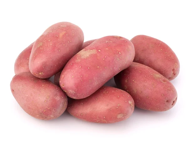 New potato tuber heap — Stock Photo, Image