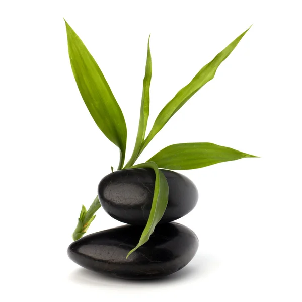 Balanço de seixos zen. Conceito de spa e saúde . Imagem De Stock