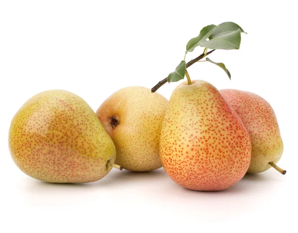 Pear fruits — Stock Photo, Image