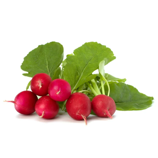 Small garden radish — Stock Photo, Image