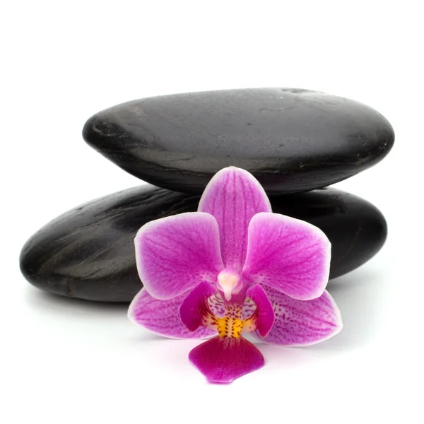 Balanço de seixos zen. Conceito de spa e saúde . — Fotografia de Stock
