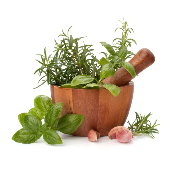 Fresh flavoring herbs and spices in wooden mortar — Stock Photo, Image