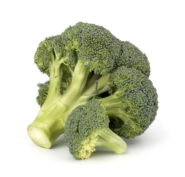 Broccoli vegetabiliska — Stockfoto
