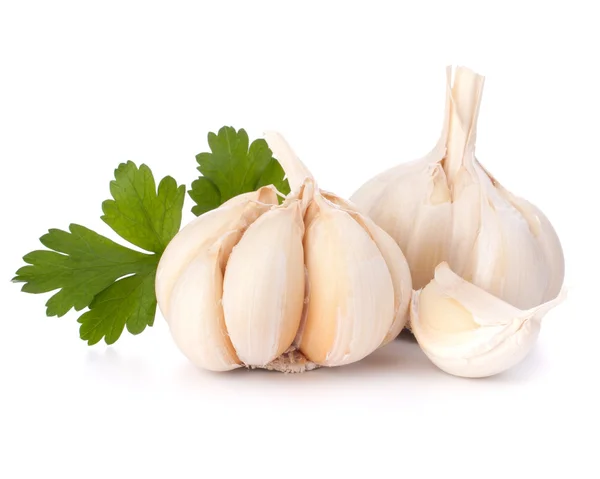 Garlic bulb and parsley leaf — Stock Photo, Image