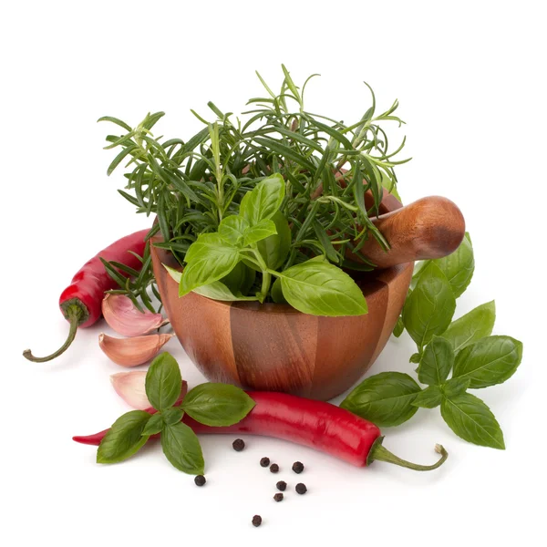 Fresh flavoring herbs and spices in wooden mortar — Stock Photo, Image