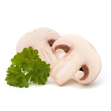 champignon mantar ve taze maydanoz