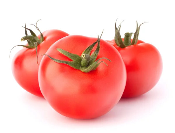 Üç domates sebze — Stok fotoğraf
