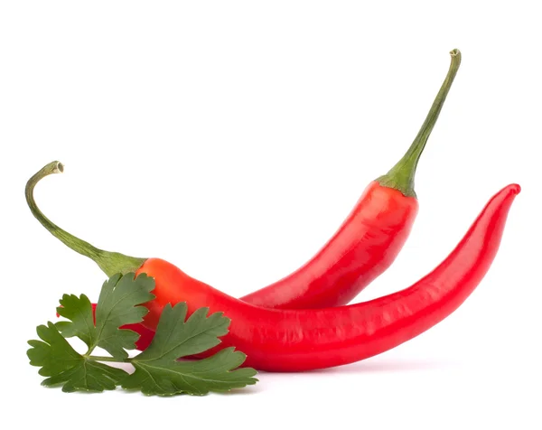 Scharfe rote Chili- oder Chilischote und Petersilienblätter — Stockfoto
