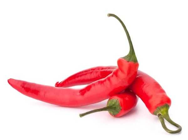 Scharfe rote Chili- oder Chilischote — Stockfoto