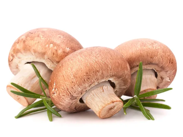 kahverengi champignon mantar ve biberiye yaprakları