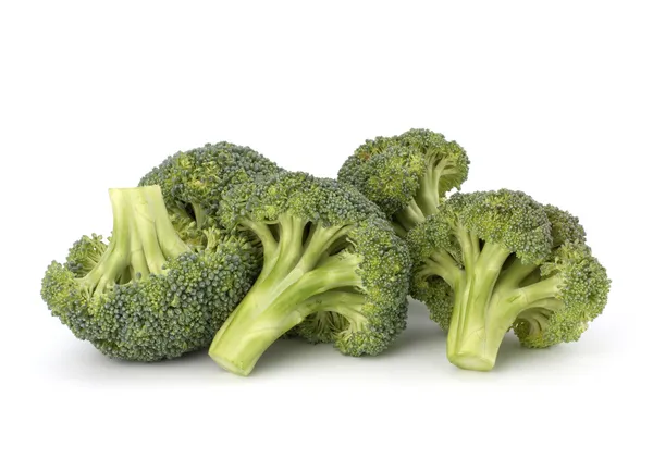 Broccoli vegetabiliska — Stockfoto