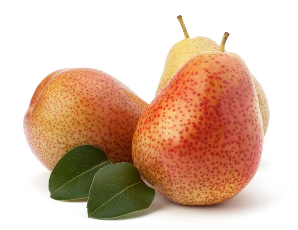 Pear fruits — Stock Photo, Image