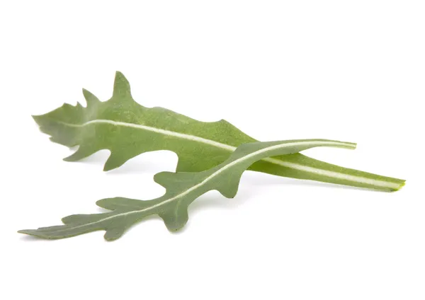 Ensalada de rúcula dulce o hojas de lechuga cohete — Foto de Stock