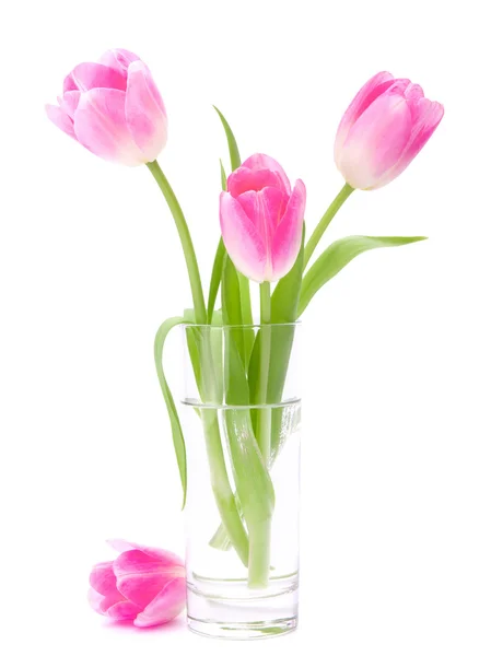 Rosa Tulpen Strauß in der Vase isoliert auf weißem Hintergrund — Stockfoto