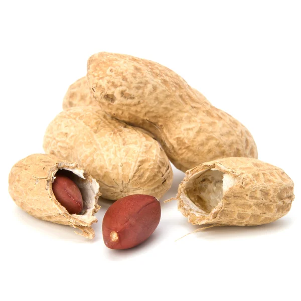 Peanut — Stock Photo, Image