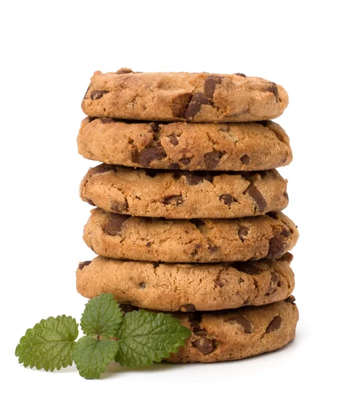 Chocolate homemade pastry cookies — Stock Photo, Image