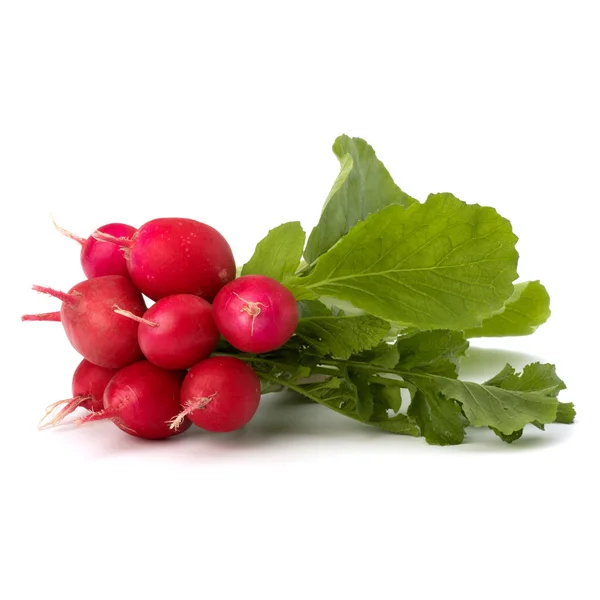 Small garden radish — Stock Photo, Image