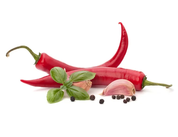 Peperoncino e spezie — Foto Stock