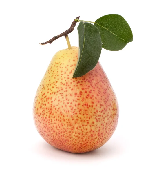 Pear — Stock Photo, Image