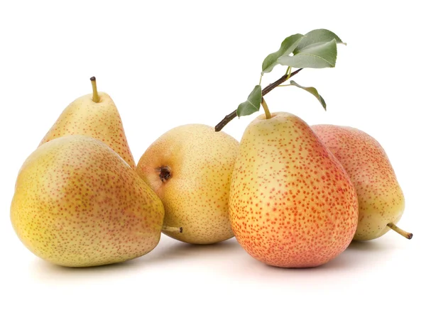 PEAR vruchten — Stockfoto