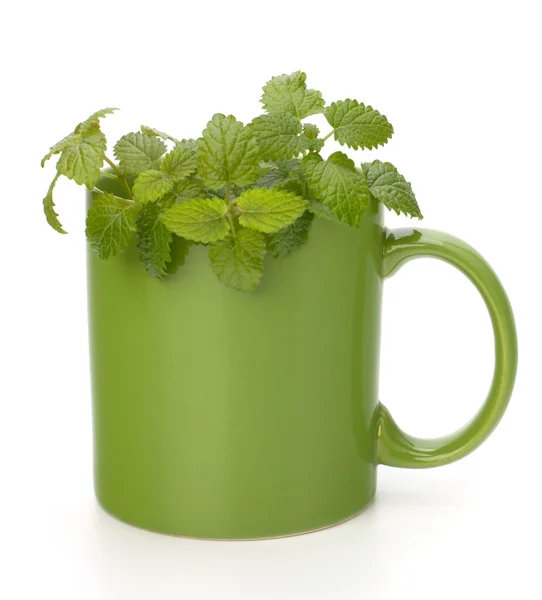 Herbal peppermint tea cup — Stock Photo, Image