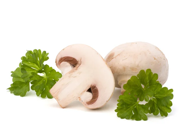 Champignon paddestoel en verse peterselie — Stockfoto