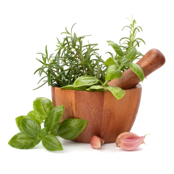 Fresh flavoring herbs and spices in wooden mortar — Stock Photo, Image
