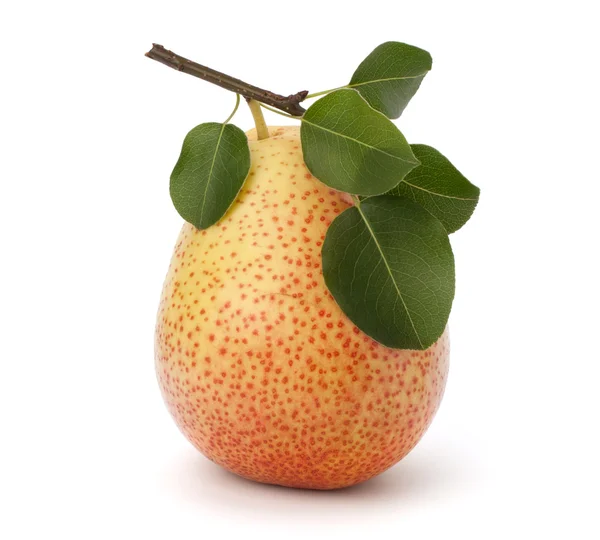 Pear — Stock Photo, Image