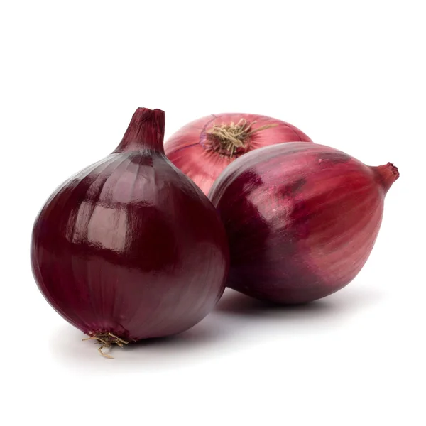 Red onion tuber — Stock Photo, Image