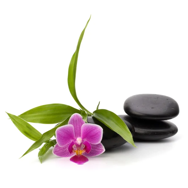 Zen pebbles balance. Spa and healthcare concept. — Stock Photo, Image