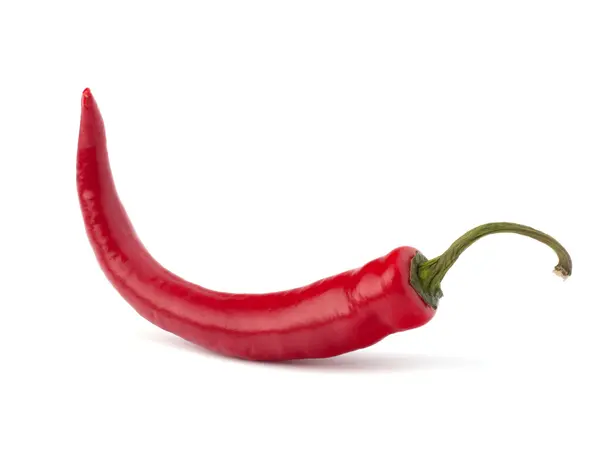 Chili pepper — Stock fotografie