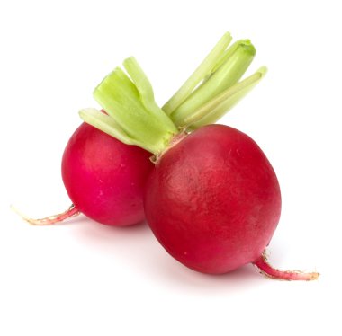 küçük Bahçe turp