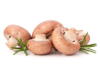 kahverengi champignon mantar ve biberiye yaprakları