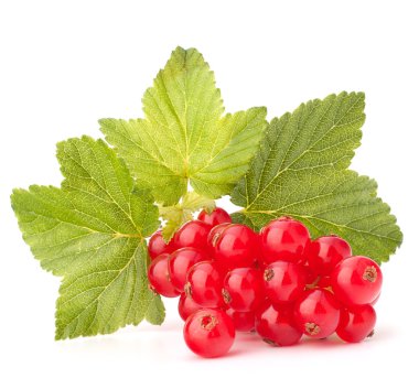 Kırmızı kuş üzümü ve yeşil yaprakları natürmort