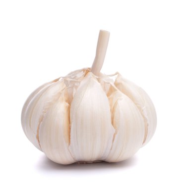 sarımsak ampul