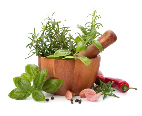 fresh flavoring herbs and spices in wooden mortar
