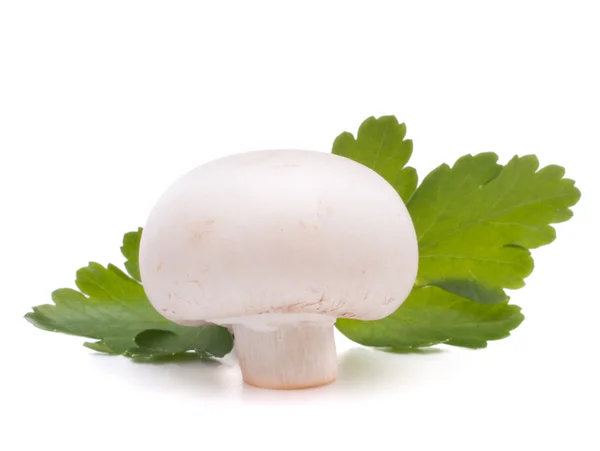 Fungo Champignon e foglie di prezzemolo — Foto Stock