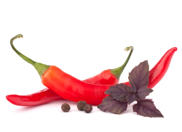 Hot red chili or chilli pepper and basil leaves still life — Stock Photo, Image