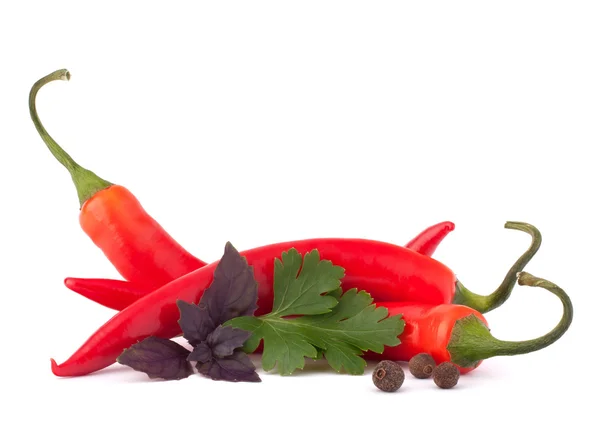 Peperoncino rosso caldo o peperoncino e foglie di erbe aromatiche ancora l — Foto Stock