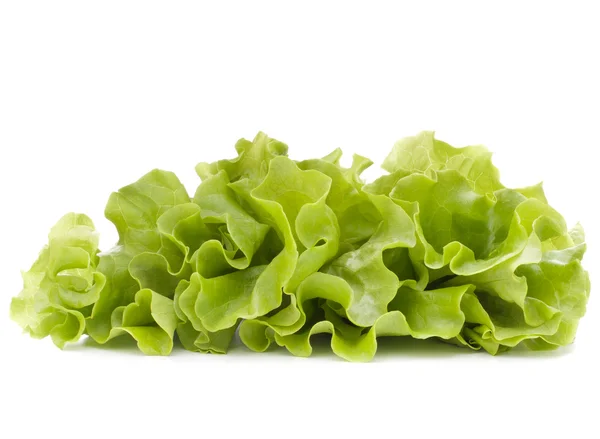 Ramo de hojas de ensalada de lechuga fresca — Foto de Stock